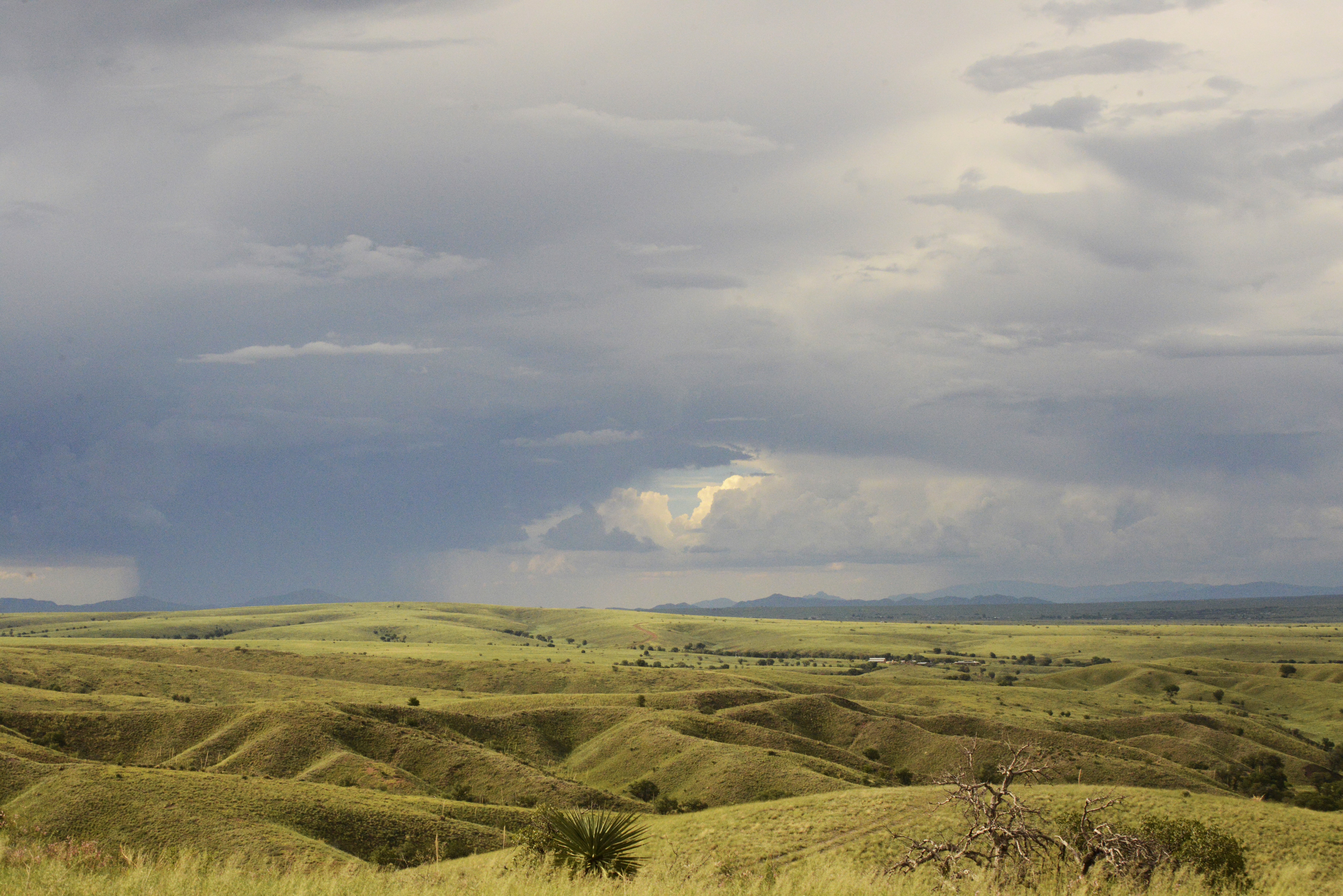 View from East Mesa