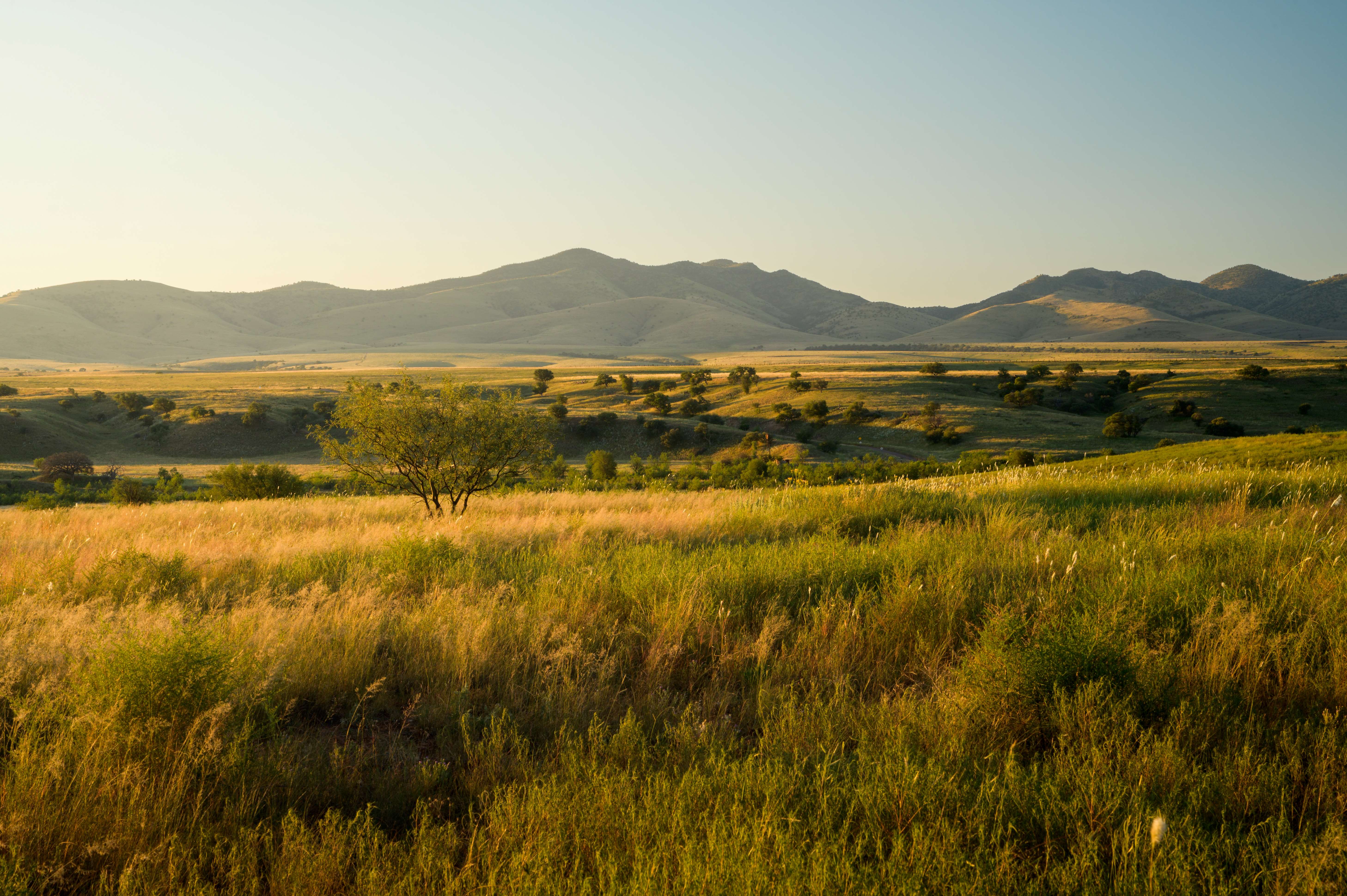 San Rafael Valley