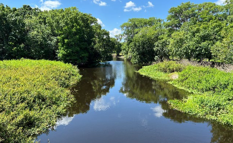 Connected wetlands and waterways in Central Florida